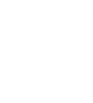 Wire Security Seal